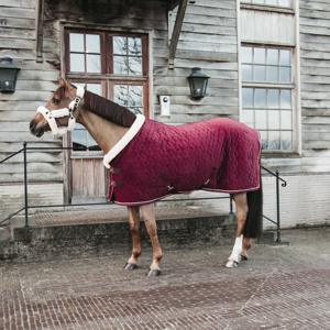 Kentucky Show Pferdedecken Velvet Bordeaux