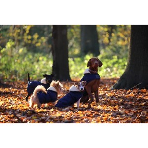 Kentucky Hundedecke navy