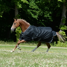Bucas Trot Turnout 50 gram Pferdedecken