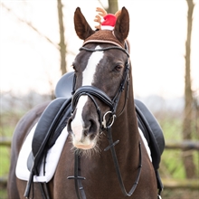 QHP Weihnachtsmütze