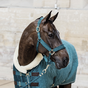 Kentucky Samt-Halfter