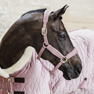 Kentucky Samt-Halfter