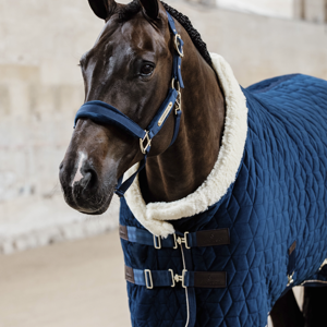 Kentucky Samt-Halfter