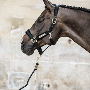 Kentucky Samt-Halfter