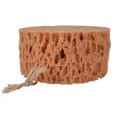 Borstiq Farm Groomingschwamm