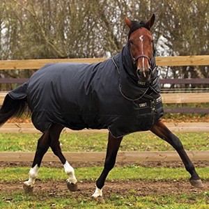 Horseware Trot Plus Winterdecke 350 Gramm