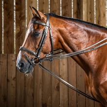 Dyon Gleitende Anhängevorrichtung Hunter 