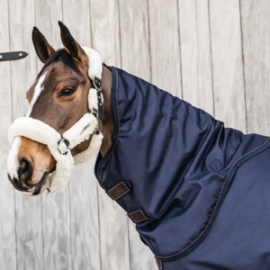 Kentucky All Weather Waterproof Pro abnehmbarer Hals 150 Gramm