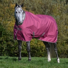 Bucas Freedom Regendecke Pony