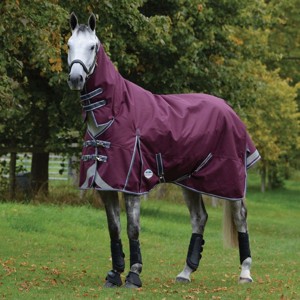 Weatherbeeta regendecken 0 Gramm Comfitec Plus Dynamic II Combo Neck Lite