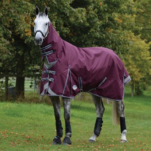 Weatherbeeta Übergangsreifen 100 Gramm Comfitec Plus Dynamic II Combo Neck medium/lite