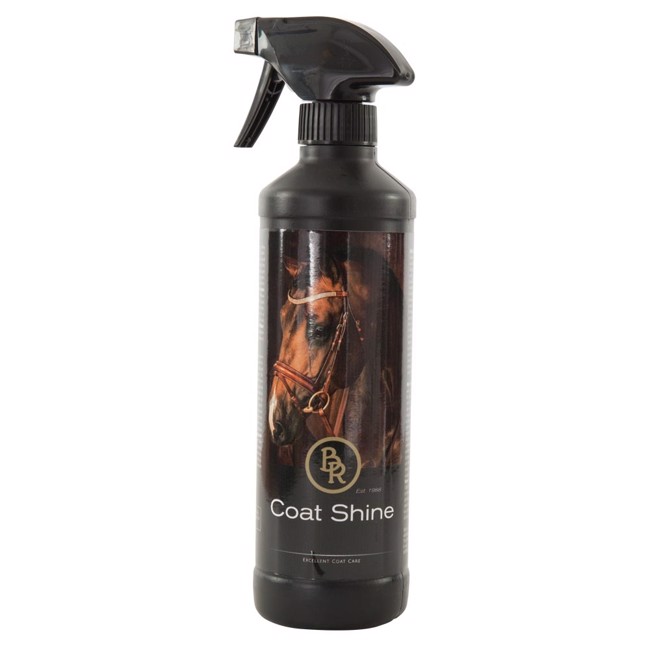 BR Fellglanz 500 ml