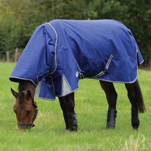 Weatherbeeta Übergangsreifen 100 Gramm Comfitec Premier Free II Detach-a-neck medium/lite