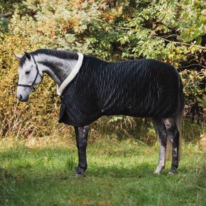 Schwarz