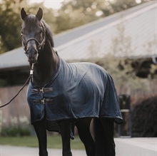 Kentucky Mesh-Fliegengitter