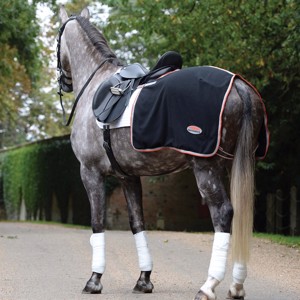Weatherbeeta Thereapy-Tec Ausreitdecke aus Fleece 