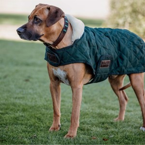 Kentucky Hundedecke Dark Green