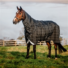 Black Check/Black & White