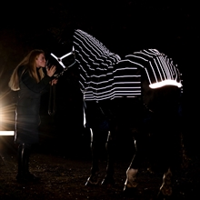 Horseware Amigo 1200D FieldSafe Reflectech Plus 100 Gramm