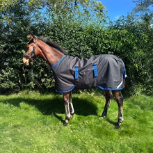 Horseware Amigo Fohlen-Pferdedecken 900D 200 gram