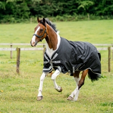 Horseware Amigo Bravo 12 XL 250 gram