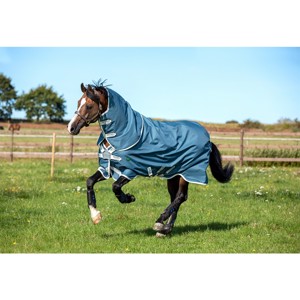 Horseware AmEco Bravo 12 Plus 100 Gramm Übergangsreifen