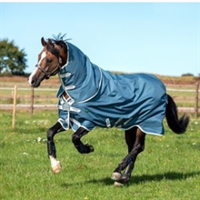 Horseware AmEco Bravo 12 Plus 100 Gramm Übergangsreifen