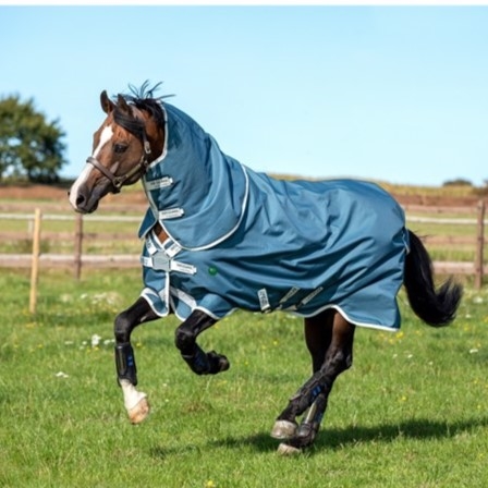 Horseware AmEco Bravo 12 Plus 100 Gramm Übergangsreifen