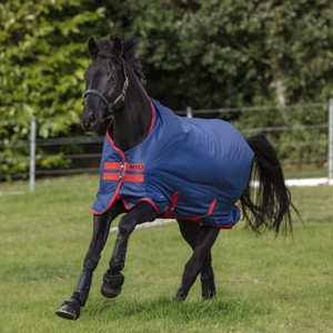 Horseware Mio mittlere Übergangsdecke 200 Gramm
