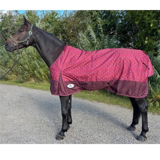 AB Regendecke Colour 50 gram 