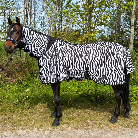 AB Insektenschutz Combo Zebra 