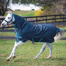 Amigo Pony Plus lite 50 Gramm regendecken