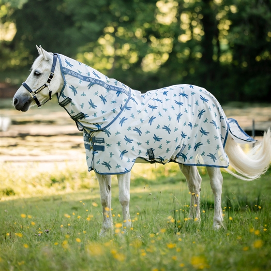 Dragonfly Print/Silver/Blue