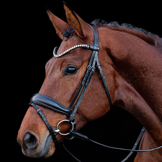 Schockemöhle SP Siena Trense