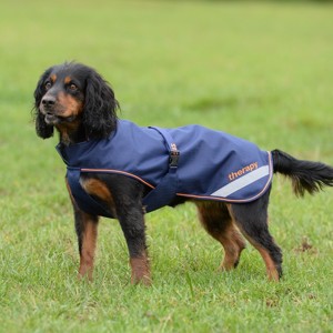 Bucas Therapiehundedecke