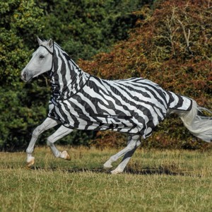 Bucas Buzz-Off combo Zebra