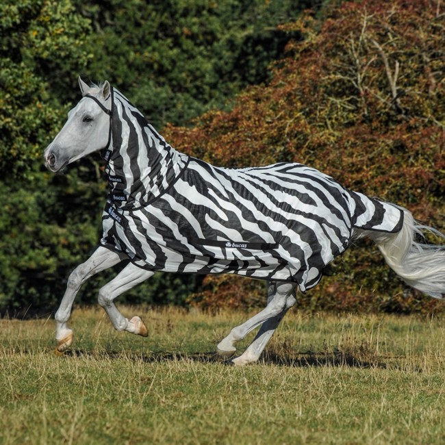 Bucas Buzz-Off combo Zebra
