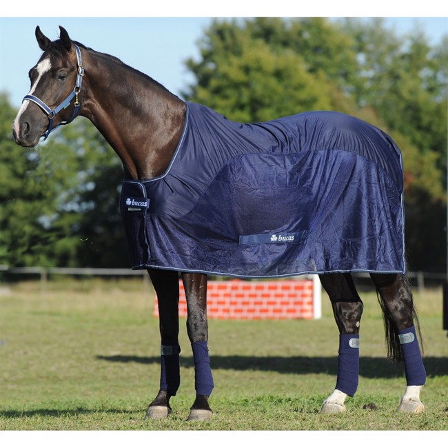 Bucas Competition Cooler decke