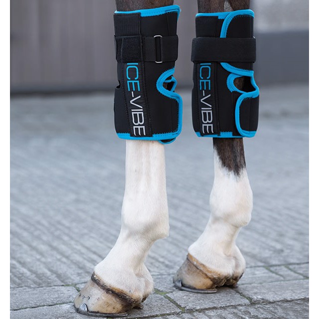 Horseware Ice-Vibe Kniewickel neues Modell
