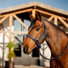 Horseware Amigo Halfterset