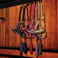 Horseware Amigo Halfter-Set