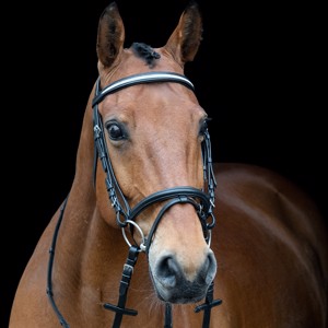 AB Trensen Silver