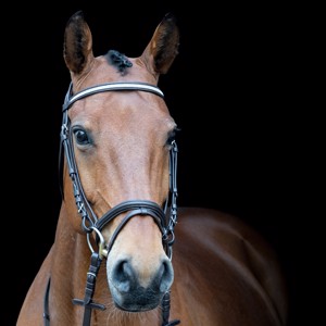 AB Trensen Silver