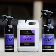Carr & Day & Martin Dreamcoat Spray