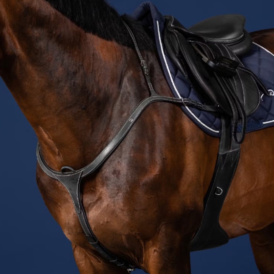 Dyon Long Bridge Vorderzeug US-Collection