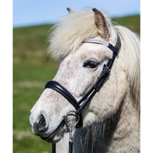 Eques Anatomisches Englisches Nasenband