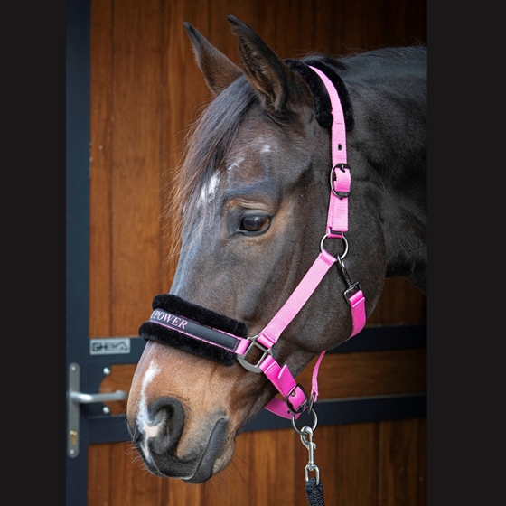 Zitate Harry\'s Horse halfter 
