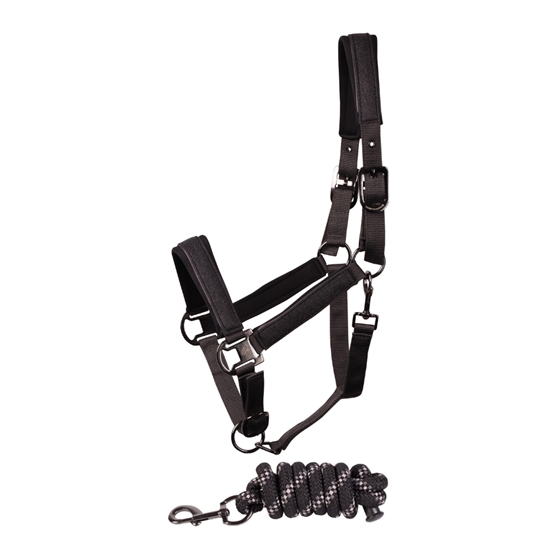 Harry\'s Horse Halfter-Set Denici Cavalli Shadow