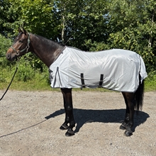 AB Fliegendecken Normal Neck