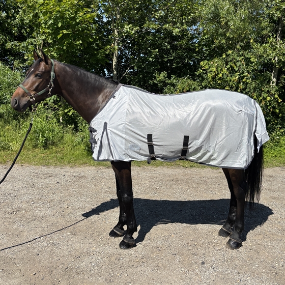 AB Fliegendecken Normal Neck
